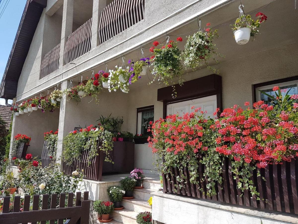 Antal Apartmans Lunca De Sus Kulcsoshaz Gyimesfelsolok 외부 사진