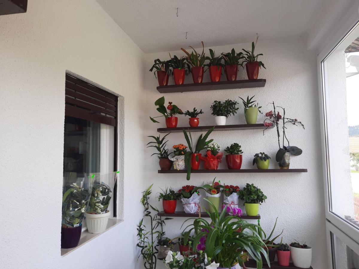 Antal Apartmans Lunca De Sus Kulcsoshaz Gyimesfelsolok 외부 사진